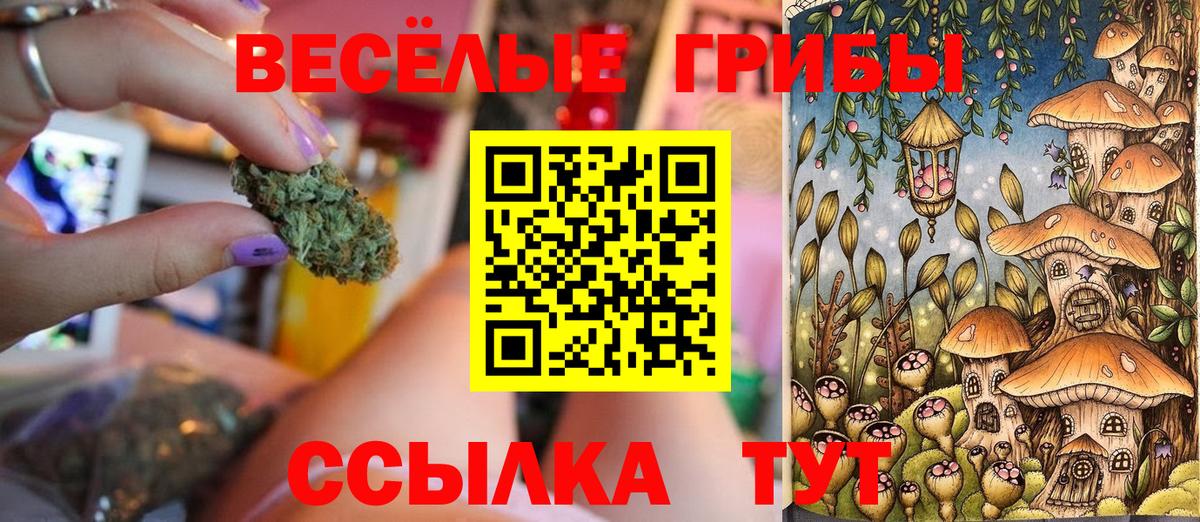 Галлюциногенные грибы прущие грибы Старая Русса